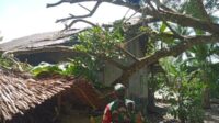 TNI Bantu Evakuasi Rumah Warga Tertimpa Pohon